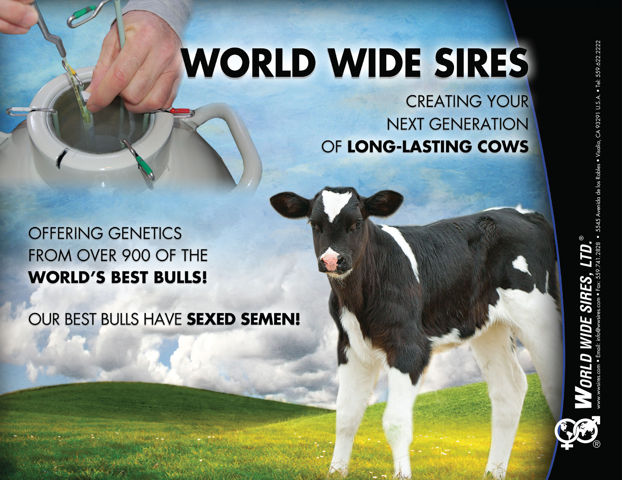 World Wide Sires ad